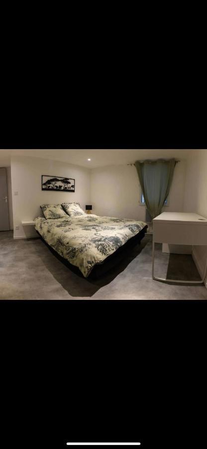 Le Boldieu- Duplex Beziers -Allee Paul Riquet- Wifi- Tv Connecte Екстериор снимка